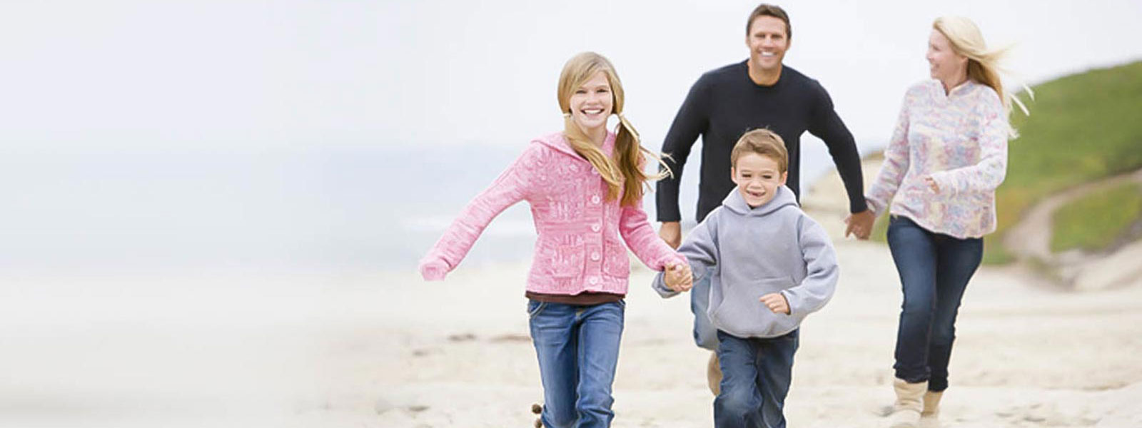 Elderberry Stops Influenza type A and B