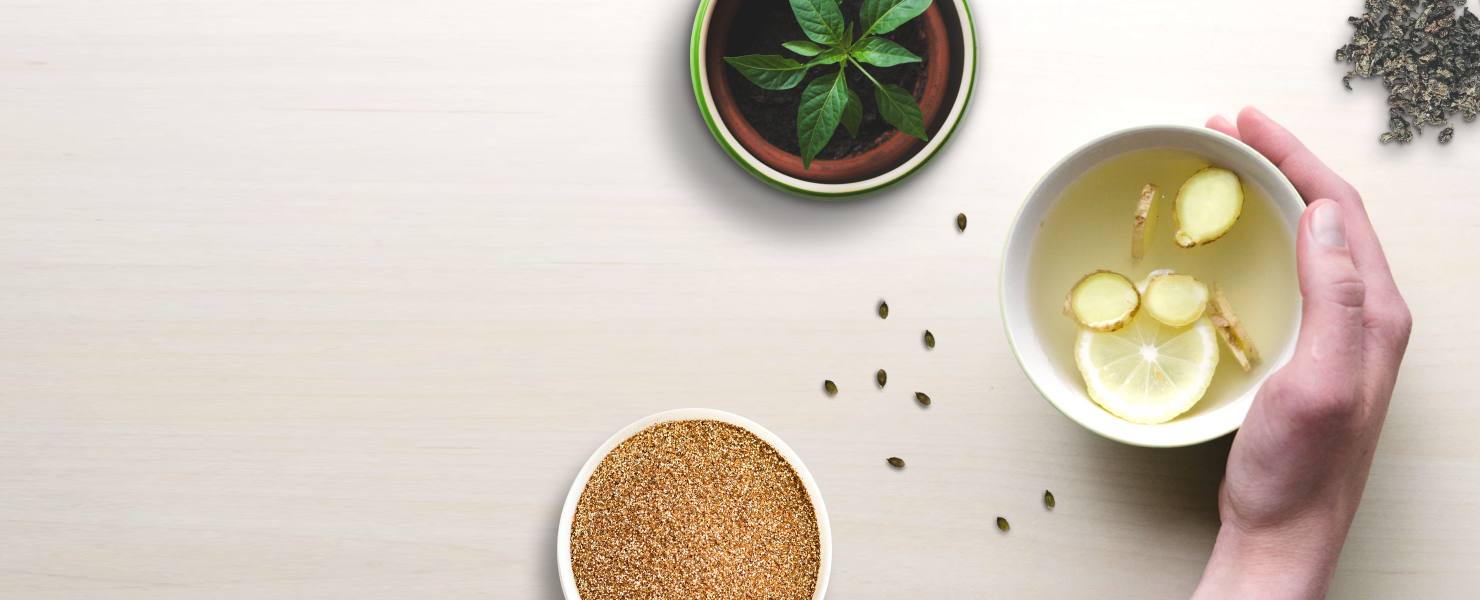 Proanthocyanidin AND Glaucoma