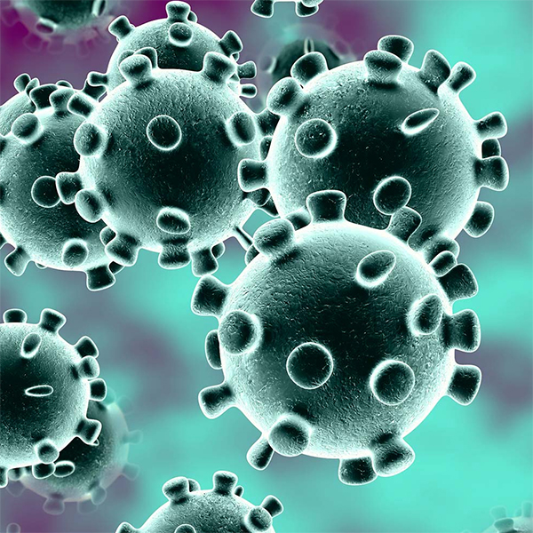Coronavirus with Dr Hansen