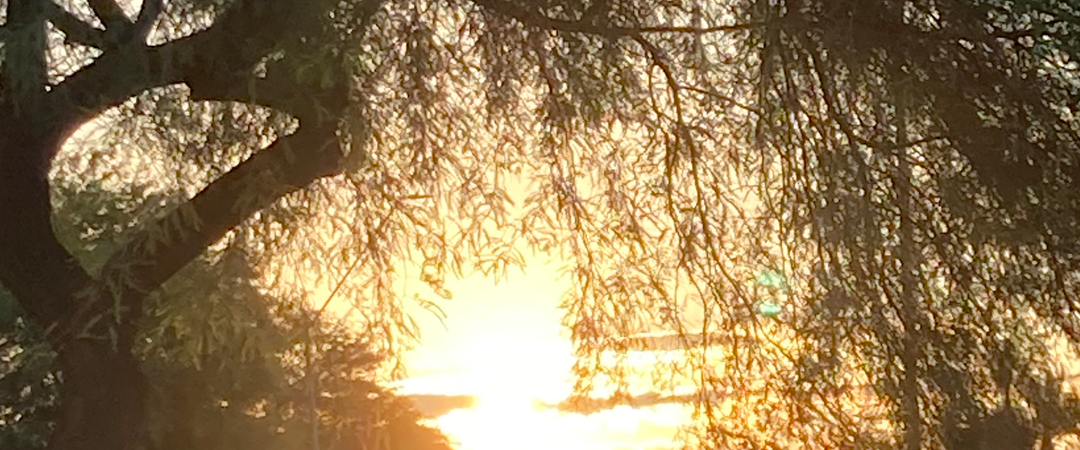 News and Research for Stress