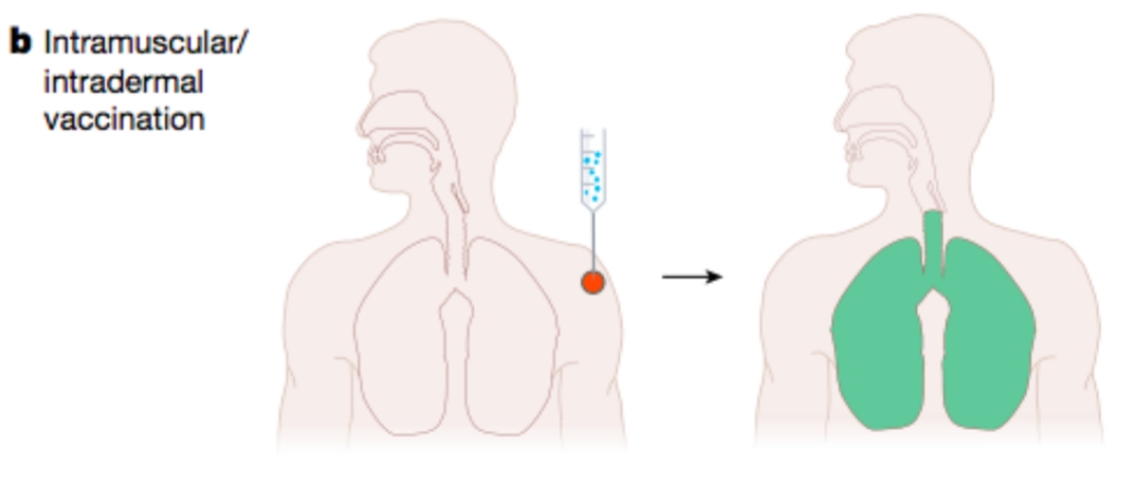 Don’t Let Allergies Get You! Get Flavinox!