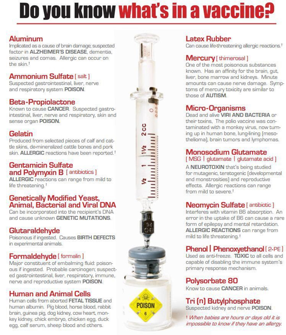 Swine Flu Vaccine Fears: What Questions Must be Answered?